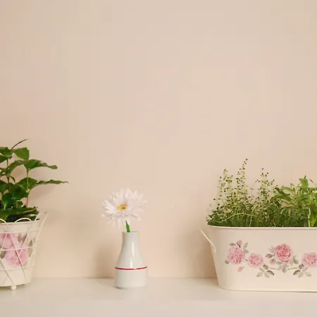 Boutique Asteria فندق ليوبليانا