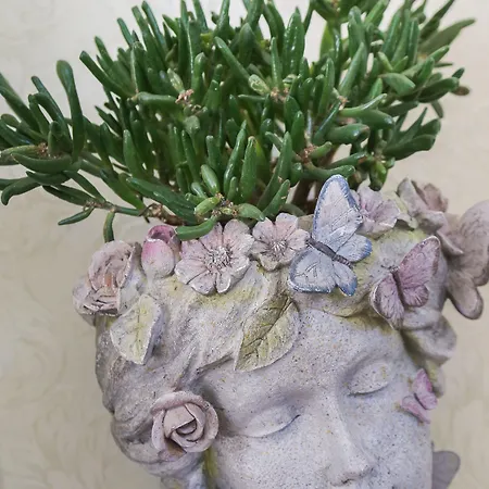 Boutique Asteria فندق 3*