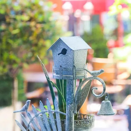 فندق Boutique Asteria 3*