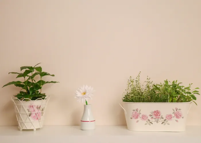 Boutique Asteria Hotell Ljubljana