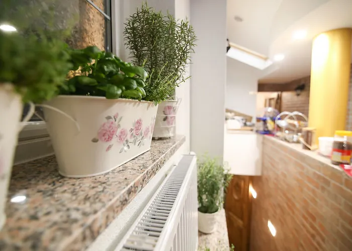 Hotel Boutique Asteria 3*