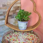 Szálloda Boutique Asteria 3*