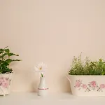 Boutique Asteria Szálloda Ljubljana
