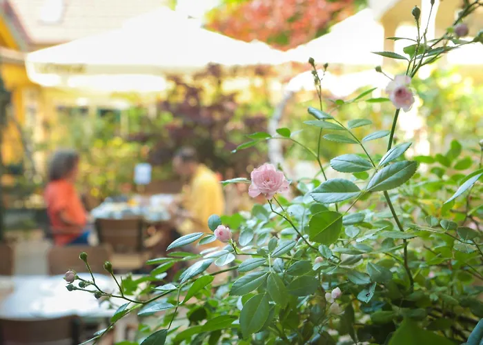 Boutique Asteria Liubliana