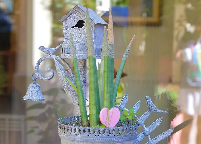 Hotel Boutique Asteria