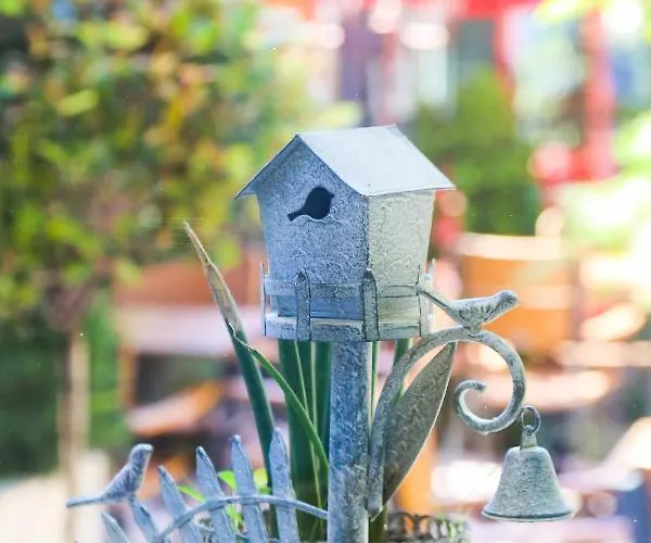 Hotel Boutique Asteria 3*